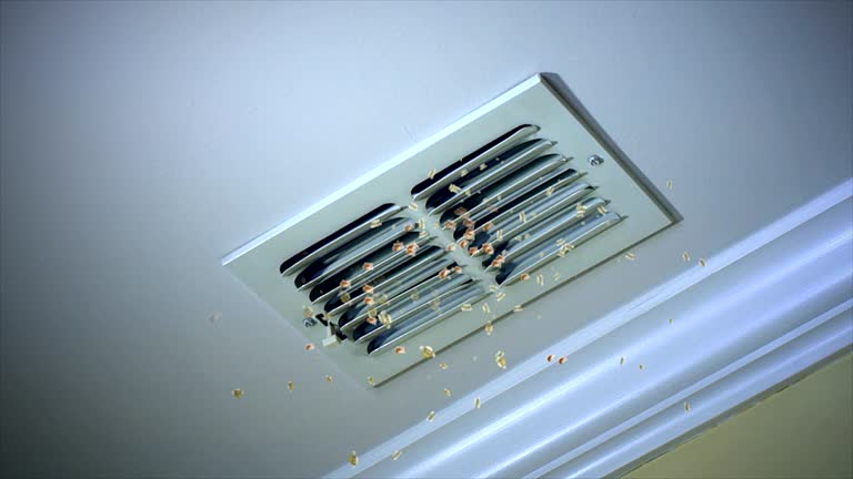 Reliable Bowling Green, VA Airduct Cleaning Solutions